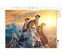 Puzzle · Hé, Je Veux Aussi Regarder d'en Haut | 1000 pièces · Format assemblé 64 × 48 cm · CALVENDO Puzzle
