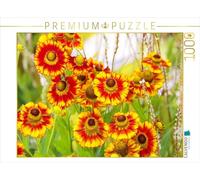 Puzzle · Hélénium « Sonnenbraut | Petit groupe · 1000 pièces · Format assemblé 64 × 48 cm · CALVENDO Puzzle