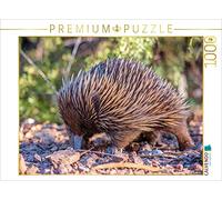 Puzzle · hérisson | La faune australienne · 1000 pièces · Format assemblé 64 × 48 cm · CALVENDO Puzzle