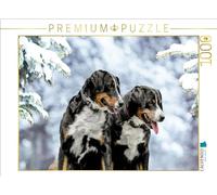 Puzzle · Heure d' ER | Chiens de bouvier d'Appenzell · 1000 pièces · Format assemblé 64 × 48 cm · CALVENDO Puzzle