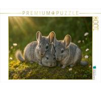 Puzzle · Heure des câlins - Trois Chinchillas | 1000 pièces · Format assemblé 64 × 48 cm · CALVENDO Puzzle