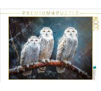 Puzzle · Hiboux des neiges | 1000 pièces · Format assemblé 64 × 48 cm · CALVENDO Puzzle