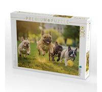 Puzzle · Hinterher, der Ball scheint schneller zu Sein | Französische Bulldogge · 1000 pièces · Format assemblé 64 × 48 cm · CALVENDO Puzzle