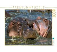 Puzzle · Hippopotames - Lutte pour Le Territoire | Malgré leur lourdeur, les mammifères terrestres vivant en… · 1000 pièces · Format assemblé 64 × 48 cm · CALVENDO Puzzle