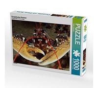 Puzzle · Homard européen | 1000 pièces · Format assemblé 64 × 48 cm · CALVENDO Puzzle