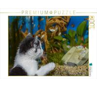 Puzzle · Hope la Chatte et Les Poissons | 1000 pièces · Format assemblé 64 × 48 cm · CALVENDO Puzzle