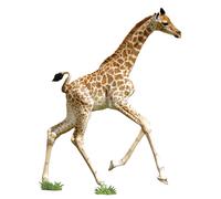 Puzzle I am lil' - girafe multicolor TU
