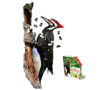 e11even Madd CAPP Puzzles -
