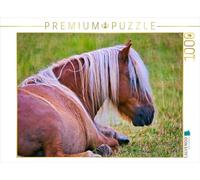 Puzzle · Il Faut Aussi se Reposer | Cheval Haflinger à la pause de midi · 1000 pièces · Format assemblé 64 × 48 cm · CALVENDO Puzzle
