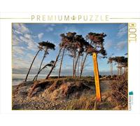Puzzle · Il y a des endroits où Les Arbres finissent par succomber au Vent | et aux vagues · Sur la plage ouest du Darß · 1000 pièces · Format assemblé 64 × 48 cm · CALVENDO Puzzle