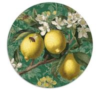 Puzzle Illustration botanique pour Adultes,1000pcs (67.5x67.5cm),Jeu ÉduChatif,décoration De La Maison,Citron