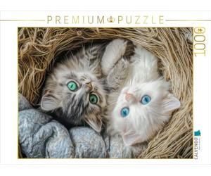 Puzzle · Illustrations de Chats | On se fait toujours des câlins · 1000 pièces · Format assemblé 64 × 48 cm · CALVENDO Puzzle