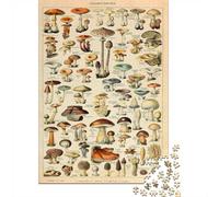 Puzzle Image 1000 Pièces avec Vintage Adolphe Millot, 52x38cm/1000pcs