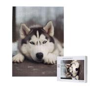 Puzzle imprimé chien Husky avec boîte de rangement - Puzzle en bois pour adultes et enfants - 500 pièces - Jeu décoratif amusant en famille - 38 x 52 cm