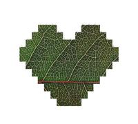 Puzzle imprimé veines de feuilles vertes de 10,8 x 12,8 cm, puzzle en forme de cœur pour adultes, décoration murale décorative amusante