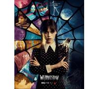 Puzzle Irrégulier Coloré - Wednesdays Movie Affiche - Puzzles 1000 pièces - Adulte Personnalisé Défi Jouets Dw624Sk