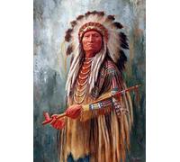 Puzzle Irrégulier - Nativess India Affiche - Jouets Éducatifs pour Adultes Puzzle - pour Jeu De Mémoires pour Adults Gifts - Puzzles 1000 Pièces - Sk224Zp