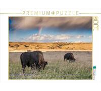 Puzzle · Itinérance Gratuite | Des bisons dans le parc national de Yellowstone · 1000 pièces · Format assemblé 64 × 48 cm · CALVENDO Puzzle