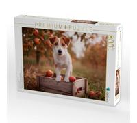 Puzzle · Jack Russell Terrier - Kleiner Erntehelfer | Leben auf dem Bauernhof · 1000 pièces · Format assemblé 64 × 48 cm · CALVENDO Puzzle