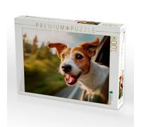 Puzzle · Jack Russell Terrier - Reiselust | Kleiner Hund auf großer Entdeckungstour · 1000 pièces · Format assemblé 64 × 48 cm · CALVENDO Puzzle