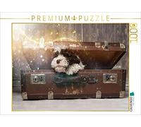 Puzzle · J'Ai trouvé Un Coffre au trésor | 1000 pièces · Format assemblé 64 × 48 cm · CALVENDO Puzzle