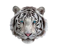 puzzle Je suis White Tiger 300 pièces