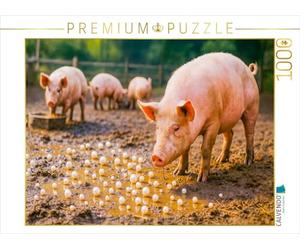 Puzzle · Jeter des Perles aux cochons - Le gaspillage de Luxe | Quand les bijoux fins rencontrent les museaux grossiers · 1000 pièces · Format assemblé 64 × 48 cm · CALVENDO Puzzle