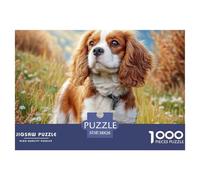 Puzzle Jeu 1000 Pièces Chien Mignon - Cavalier King Charles en Champ, Activité Familiale Difficile et Anti-Stress Maison 38x26cm