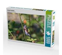 Puzzle · Jeune chardonneret | 1000 pièces · Format assemblé 64 × 48 cm · CALVENDO Puzzle
