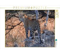 Puzzle · Jeune léoparde au Petit Matin, réserve animalière de Moremi | 1000 pièces · Format assemblé 64 × 48 cm · CALVENDO Puzzle