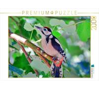 Puzzle · Jeune pic épeiche | 2000 pièces · Format assemblé 90 × 67 cm · CALVENDO Puzzle