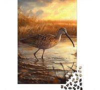 Puzzle Jigsaw 1000 Pièces Oiseau dans Les Zones humides Coucher de Soleil Puzzles 38x26cm/1000pcs pour Enfants Cadeau Jeu D'Intelligence Familial DIY Carton