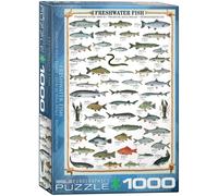Eurographics Puzzle Freshwater Fish – 1000 pièces