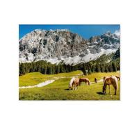 Puzzle Jigsaw 1000 Pièces，Zugspitze - Tyrol - Ehrwald - Autriche，Adulte Loisirs Divertissement Jouets Éducatifs pour Enfants Décor De Noël（75x50cm）-AP82