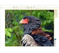 Puzzle · Jongleur | 1000 pièces · Format assemblé 64 × 48 cm · CALVENDO Puzzle