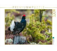 Puzzle · Juillet: C'est sur Une souche d'arbre qu'on Chante Le Mieux | 1000 pièces · Format assemblé 64 × 48 cm · CALVENDO Puzzle