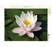 Puzzle · Juin | 1000 pièces · Format assemblé 64 × 48 cm · CALVENDO Puzzle