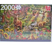 Puzzle Jumbo 18868 2000 pièces Forêt magique / Forêt magique au coucher du so...