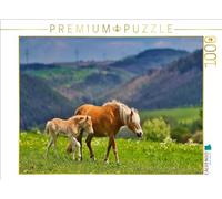 Puzzle · Jument Haflinger avec Son Poulain | 1000 pièces · Format assemblé 64 × 48 cm · CALVENDO Puzzle