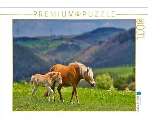 Puzzle · Jument Haflinger avec Son Poulain | 1000 pièces · Format assemblé 64 × 48 cm · CALVENDO Puzzle