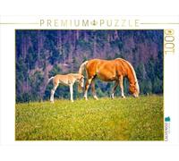Puzzle · Jument Haflinger avec Son Poulain | Au pâturage · 1000 pièces · Format assemblé 64 × 48 cm · CALVENDO Puzzle