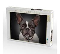 Puzzle · Kalle | Bully, bouledogue français · Kalle · 1000 pièces · Format assemblé 64 × 48 cm · CALVENDO Puzzle