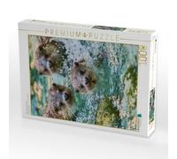 Puzzle · Kleine Wellen, großes Glück | 1000 pièces · Format assemblé 64 × 48 cm · CALVENDO Puzzle