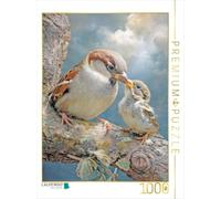 Puzzle · La beauté des Oiseaux - Illustrations | Moineau et oisillon · 1000 pièces · Format assemblé 64 × 48 cm · CALVENDO Puzzle