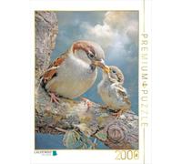 Puzzle · La beauté des Oiseaux - Illustrations | Moineau et oisillon · 2000 pièces · Format assemblé 90 × 67 cm · CALVENDO Puzzle
