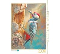 Puzzle · La beauté des Oiseaux - Illustrations | Un pic épeiche · 2000 pièces · Format assemblé 90 × 67 cm · CALVENDO Puzzle