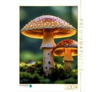 Puzzle · La diversité colorée de la Nature | Champignons · 2000 pièces · Format assemblé 90 × 67 cm · CALVENDO Puzzle