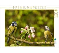 Puzzle · La mélodie printanière de la mésange Bleue | Une petite chanson pour son partenaire · 1000 pièces · Format assemblé 64 × 48 cm · CALVENDO Puzzle