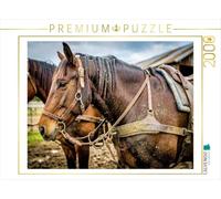 Puzzle · La sérénité de la Nature. La Puissance d’Un Cheval | chevaux de trait · 2000 pièces · Format assemblé 90 × 67 cm · CALVENDO Puzzle