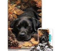 Puzzle Labrador en Automne pour Adolescents, Jeu éducatif, Jouet de défi, idéal comme Cadeau pour Toute la Famille 38x26cm